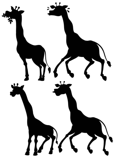 Set giraffe en silhouet illustratie - Vector, afbeelding
