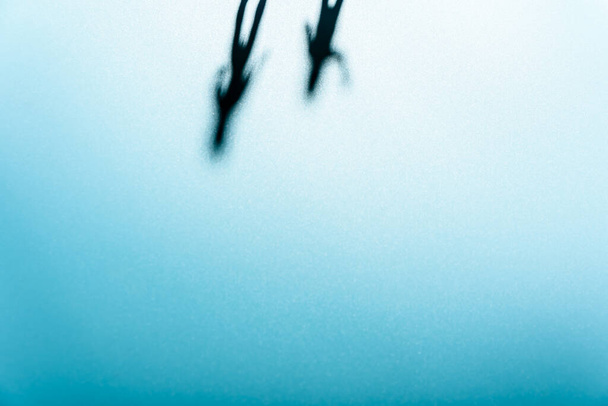 Diffuse Schatten von ein paar Menschen projiziert auf eine glatte und leere blaue Oberfläche. - Foto, Bild
