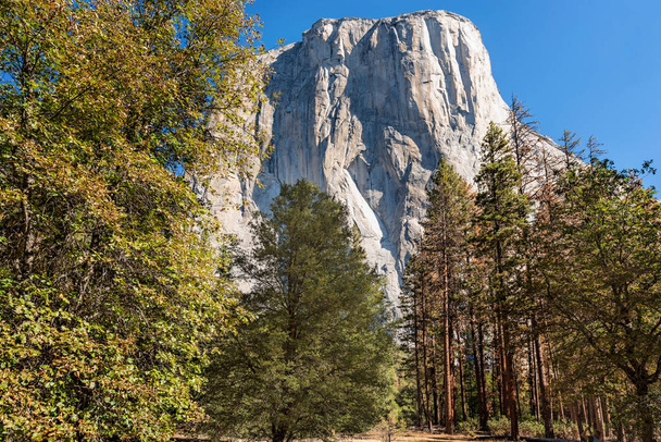 View at the El Capitan rock in Yosemite National Park, California, USA. - Photo, Image