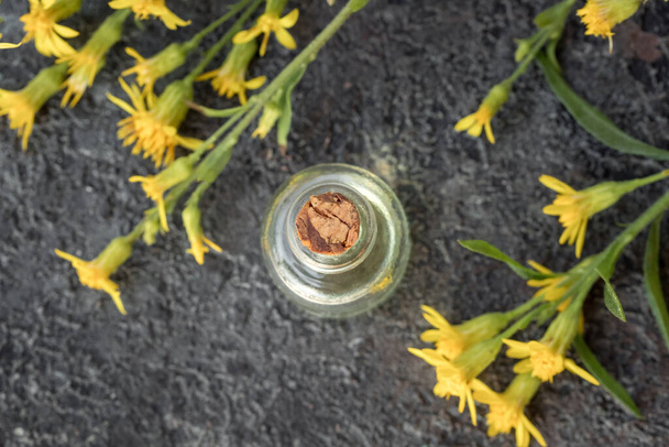 A bottle of essential oil with fresh blooming European goldenrod, or Solidago virgaurea plant on a dark background - Photo, Image