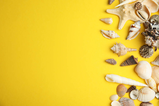 Different beautiful sea shells on yellow background, flat lay. Space for text - Photo, Image