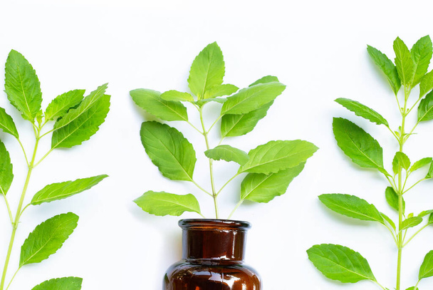 Fresh holy basil  leaves with essential oil bottle on white background. Top view - Photo, Image