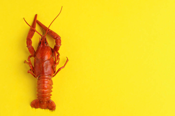 Delicious boiled crayfish on yellow background, top view. Space for text - Fotografie, Obrázek