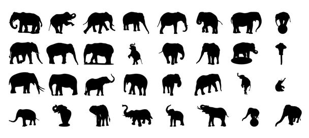 Elephant silhouette vector set - Vector, Image