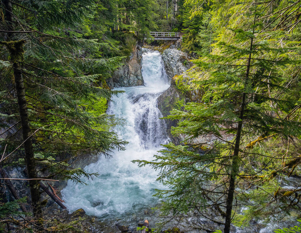 Ohromující Ohanapecosh River Falls v letním odpoledni v nedotčeném starém lese s mostem ve Snoqualmie National Forest Washington State - Fotografie, Obrázek