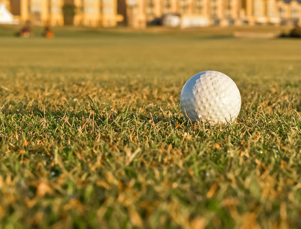Een witte golfbal op fairway op nat dauwgras, close-up. - Foto, afbeelding