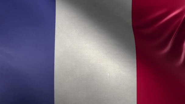 Ranskan lippu 3D Loop - Materiaali, video
