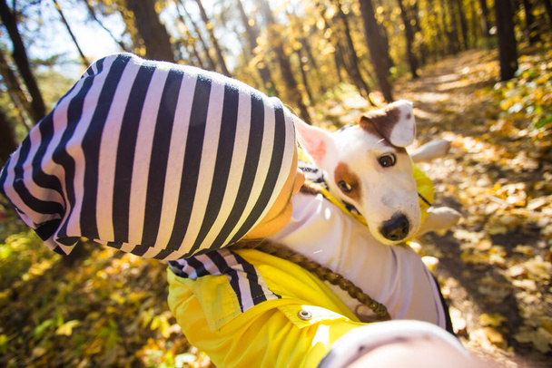 Child taking selfie with dog jack russell terrier. Autumn walk with a dog, children and pet concept. - Photo, Image