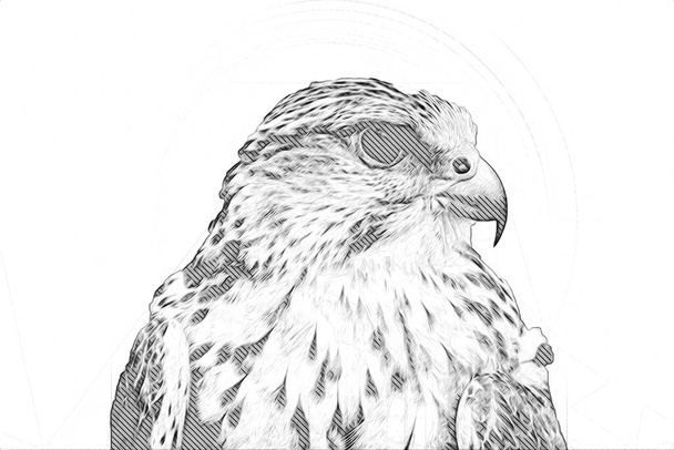 Falcon atterrissage swoop main dessiner et peindre la couleur sur l'illustration de fond, hawk vintage rétro - Photo, image