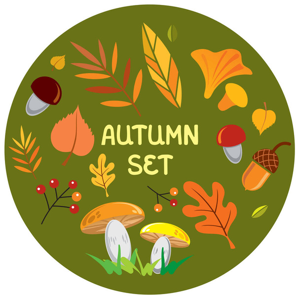 autumn set, vector illustration, leaves, berries, mushrooms, acorns - Вектор, зображення