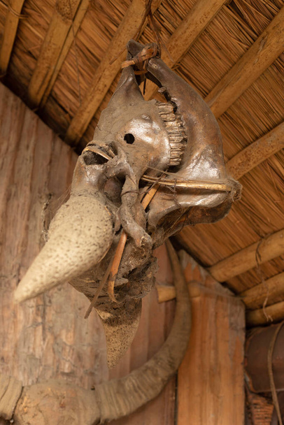 インド、ホーンビル・フェスティバル・ナガランドのチャクシャン族小屋のミトゥン頭蓋骨 - 写真・画像