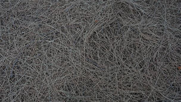 текстура сухої трави, фон з соснового листя
 - Фото, зображення
