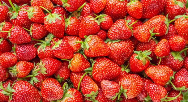 Frische Bio-Erdbeeren Hintergrund von oben Nahaufnahme - Foto, Bild