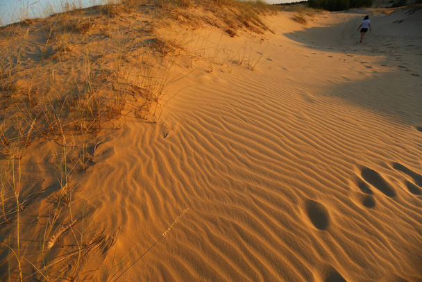 Захід сонця в пустельних піщаних дюнах Олеського піску, Україна. - Фото, зображення
