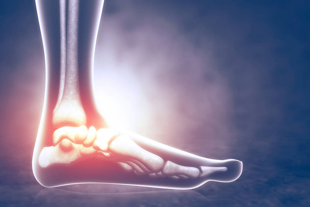 Huesos del pie humano. ilustración 3d - Foto, Imagen