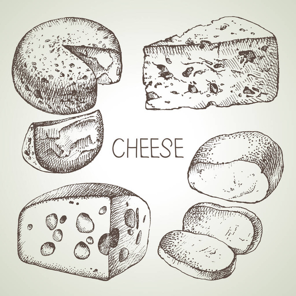 Hand drawn sketch cheese types set. Vector illustration of natural foods - Vector, Image