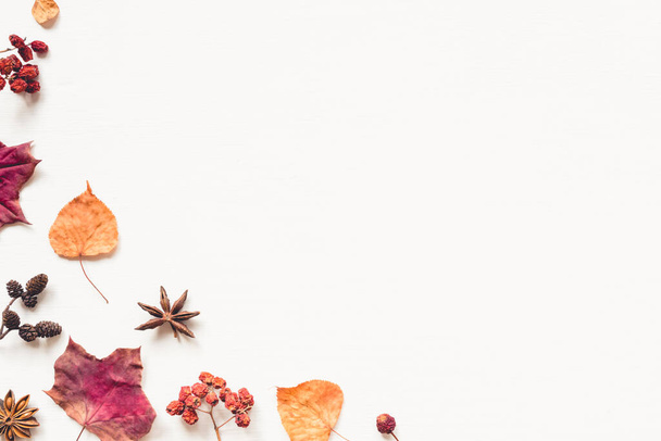 Autumn background made of leaves, berries and cones. - Foto, immagini