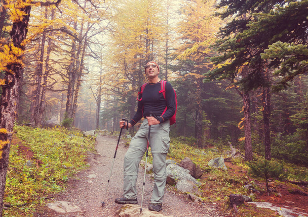 Wandelaar in de Canadese bergen. Wandelen is de populaire recreatie activiteit in Noord-Amerika. Er zijn veel pittoreske paden. - Foto, afbeelding