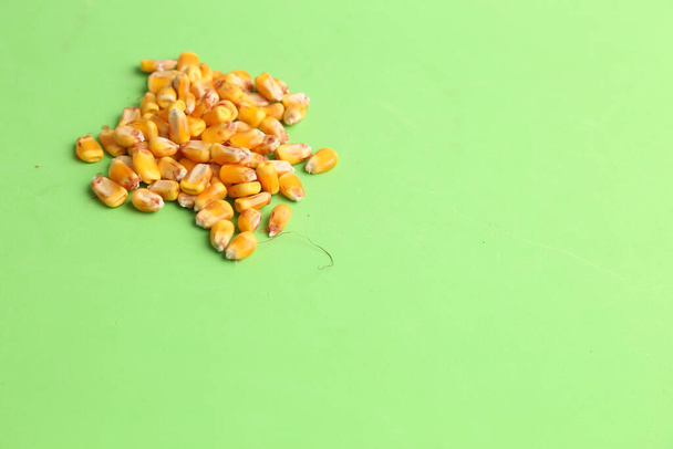 A closeup of a heap of corn grain isolated on a green background with copy space - Photo, Image