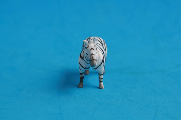 A closeup of a plastic toy zebra on a blue background - 写真・画像