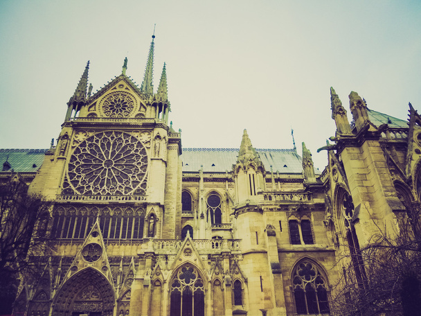 Rotro look Notre Dame Paris
 - Фото, изображение
