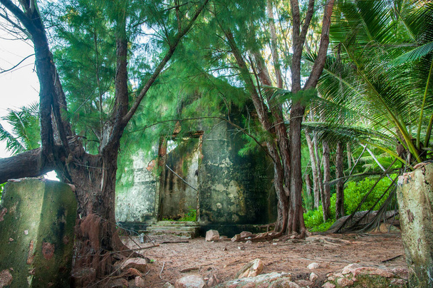 Заброшенная резиденция на удаленном пляже Анс Кайман в джунглях. Ла-Диг-Айленд - Фото, изображение