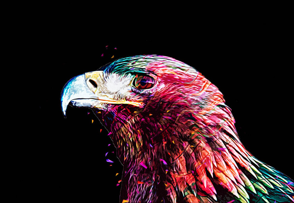 Bald eagle swoop atterrissage main dessiner et peindre sur fond blanc illustration - Photo, image