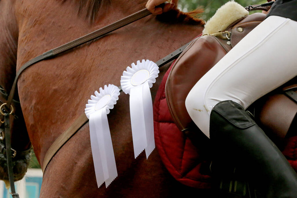 Πολύχρωμες κορδέλες ροζέτα στο κεφάλι ενός νεαρού νικητή βραβείο show jumper άλογο σε εκδήλωση ιππασίας. Περήφανος αναβάτης φορώντας κονκάρδες στο άλογο νικητής μετά από διαγωνισμούς - Φωτογραφία, εικόνα