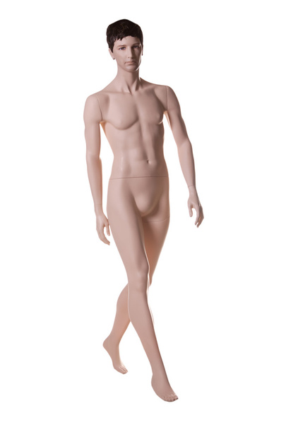 Mannequin mâle
 - Photo, image