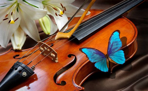 Jasnoniebieski motyl morfoński i skrzypce. skrzypce i lilia na jedwabnym tle. zbliżenie - Zdjęcie, obraz