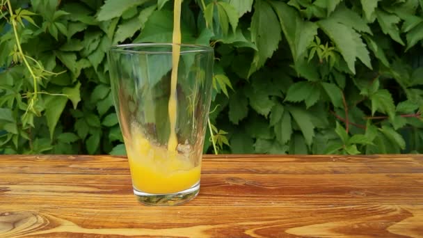 Nalanie świeżego soku pomarańczowego domowej roboty w szkle w ogrodzie - Materiał filmowy, wideo