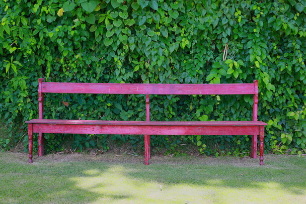 red wooden bench and green plants in garden - Fotografie, Obrázek