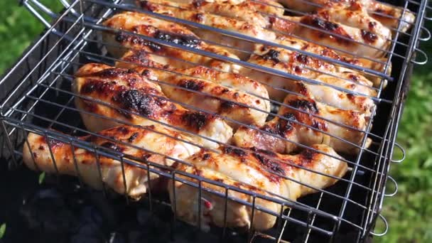 Pollo barbecue. Pollo fritto alla griglia e fuoco. Kebab di pollo e piatti di pollo. - Filmati, video