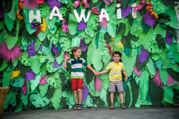 Két testvér fiú testvér gyerekek pózolnak mesterséges dzsungel levelek tányérral HAWAI. Színes rövidnadrágot és rövidnadrágot visel. Mosolygott és boldog volt. A gyermekkori nyaralás fogalma. - Fotó, kép