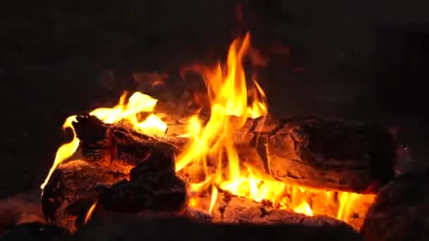 Vuur in het bos. Bonfire met vlammen van vuur 's nachts in het bos op de camping. Brandend brandhout, vonken in de natuur. - Video