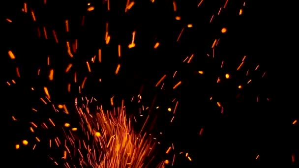  Sparks from fire and bonfire on a black background isolated. Sparks background - Footage, Video