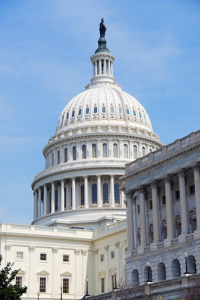 closeup budova Capitol hill, washington dc - Fotografie, Obrázek