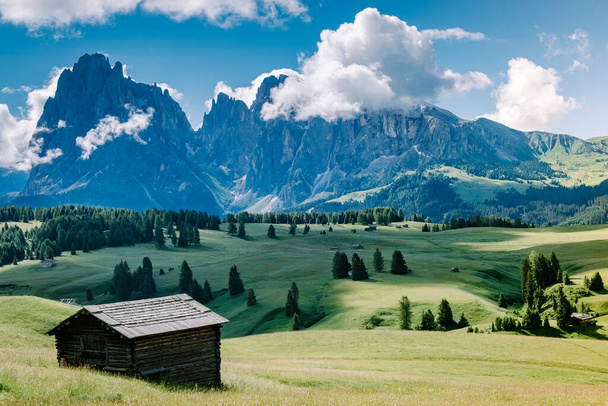 Alpe di Siusi - Seiser Alm z grupą górską Sassolungo - Langkofel w tle o zachodzie słońca. Żółte wiosenne kwiaty i drewniane domki w Dolomitach, Trentino Alto Adige, Południowy Tyrol, Włochy, Europa - Zdjęcie, obraz