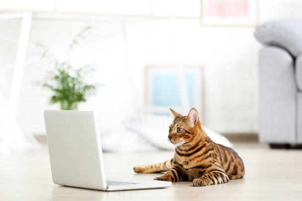 Beautiful brown cat with laptop computer lying on white carpet at home - Photo, Image