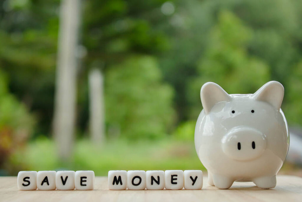 Dice the word "SAVE MONEY" and piggy bank money save coins.   Block of alphabet studded on wooden background. money investment concept. Savings. Copy space. - Photo, Image