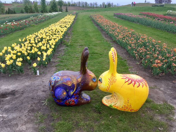 Campo de paisaje de tulipanes florecientes en primavera y liebres decorativas - Foto, Imagen