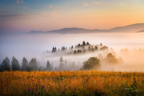 beautiful landscape with valleys, lakes and rivers in Pieniny mountains in fog - Photo, Image