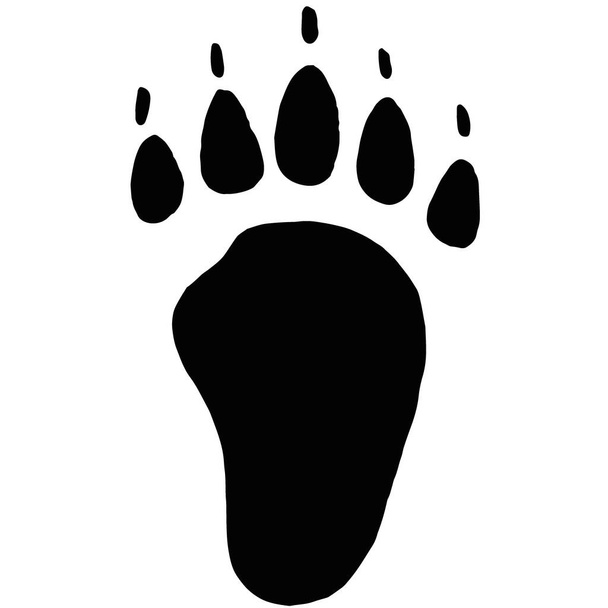 Panda black and white front footprint  - Photo, Image