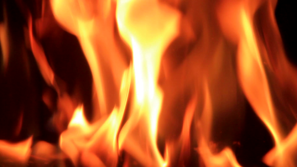 Fire - Footage, Video