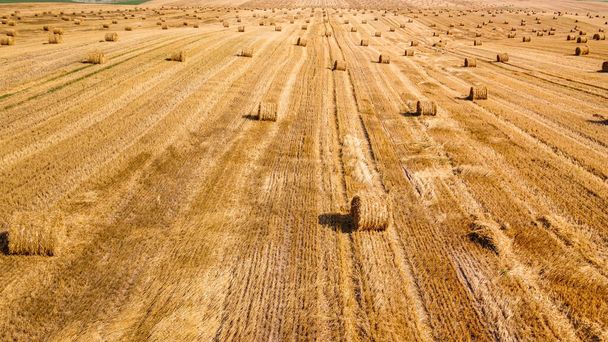 Вид с воздуха на широкое сельскохозяйственное поле с множеством тюков соломы - Фото, изображение
