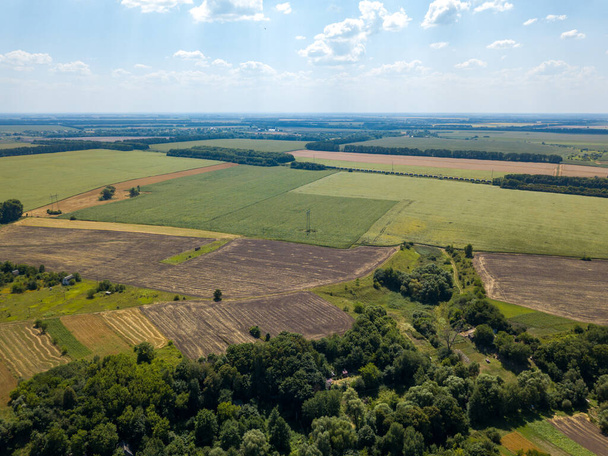 Вид с воздушного беспилотника. Зеленое кукурузное поле Украины в летний день. - Фото, изображение