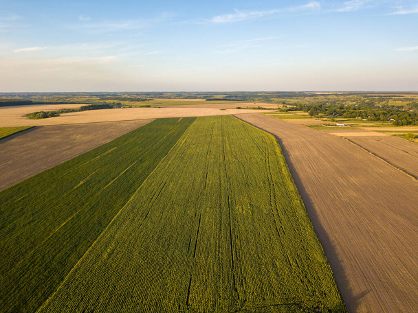 Luchtfoto drone uitzicht op Oekraïense landbouwvelden. - Foto, afbeelding