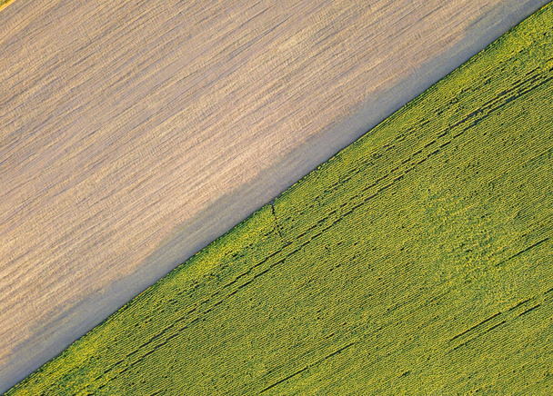 Luchtfoto drone uitzicht op Oekraïense landbouwvelden. - Foto, afbeelding