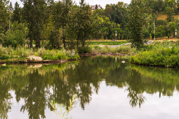 hermosa escena natural con río tranquilo y exuberante vegetación en la mañana - Foto, imagen