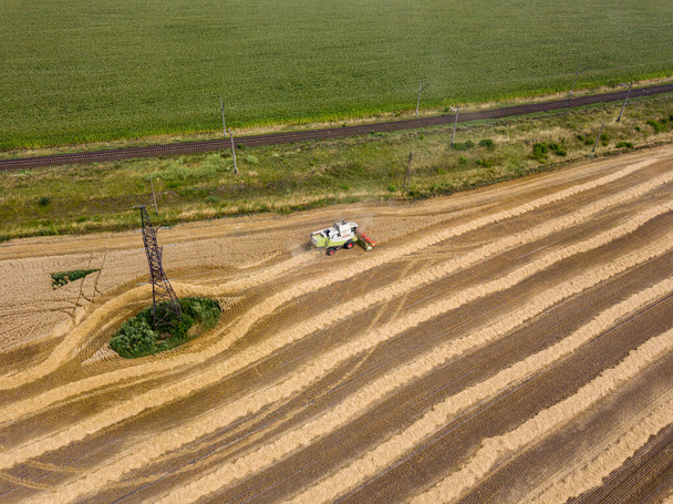 Vue aérienne sur drone. Champ de blé ukrainien récolté. - Photo, image